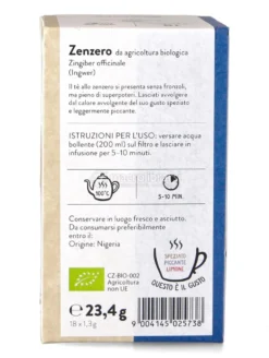 Tisana allo Zenzero