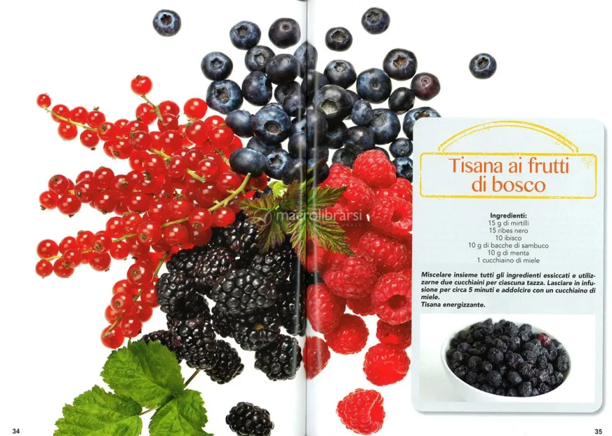 Tisane per Ogni Occasione
