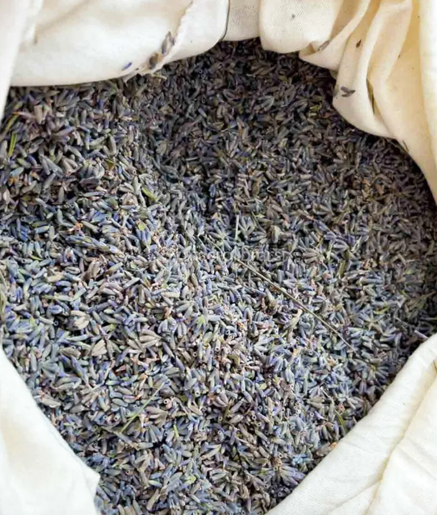Topper in Cotone Biologico e Lavanda Biologica 90X200