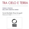 Tra Cielo e Terra - Teoria e Pratica dell'Arte Curativa Cinese