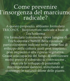 Trico Sol - Bioprotettore Radicale Bio per Piante