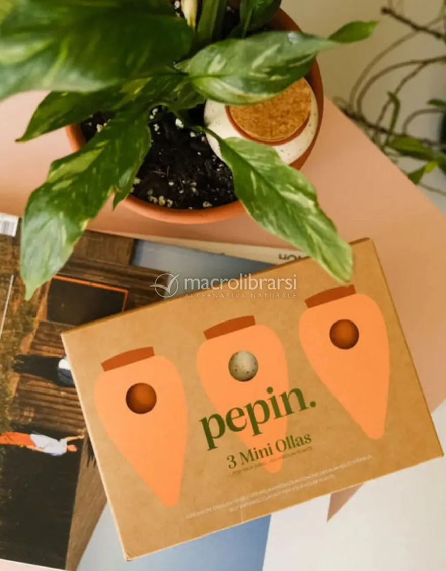 Trio Mini Ollas in Terracotta - Le Iconiche