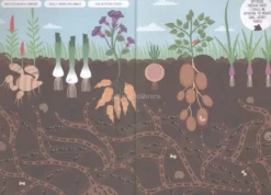 Trovami! - Avventure Sottoterra con Lupo Bernardo