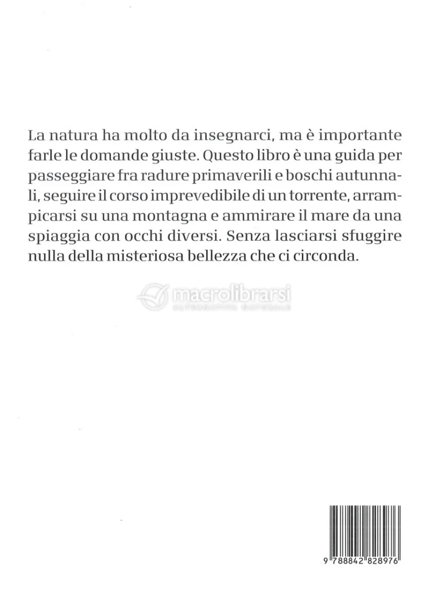 Troverai più nei Boschi