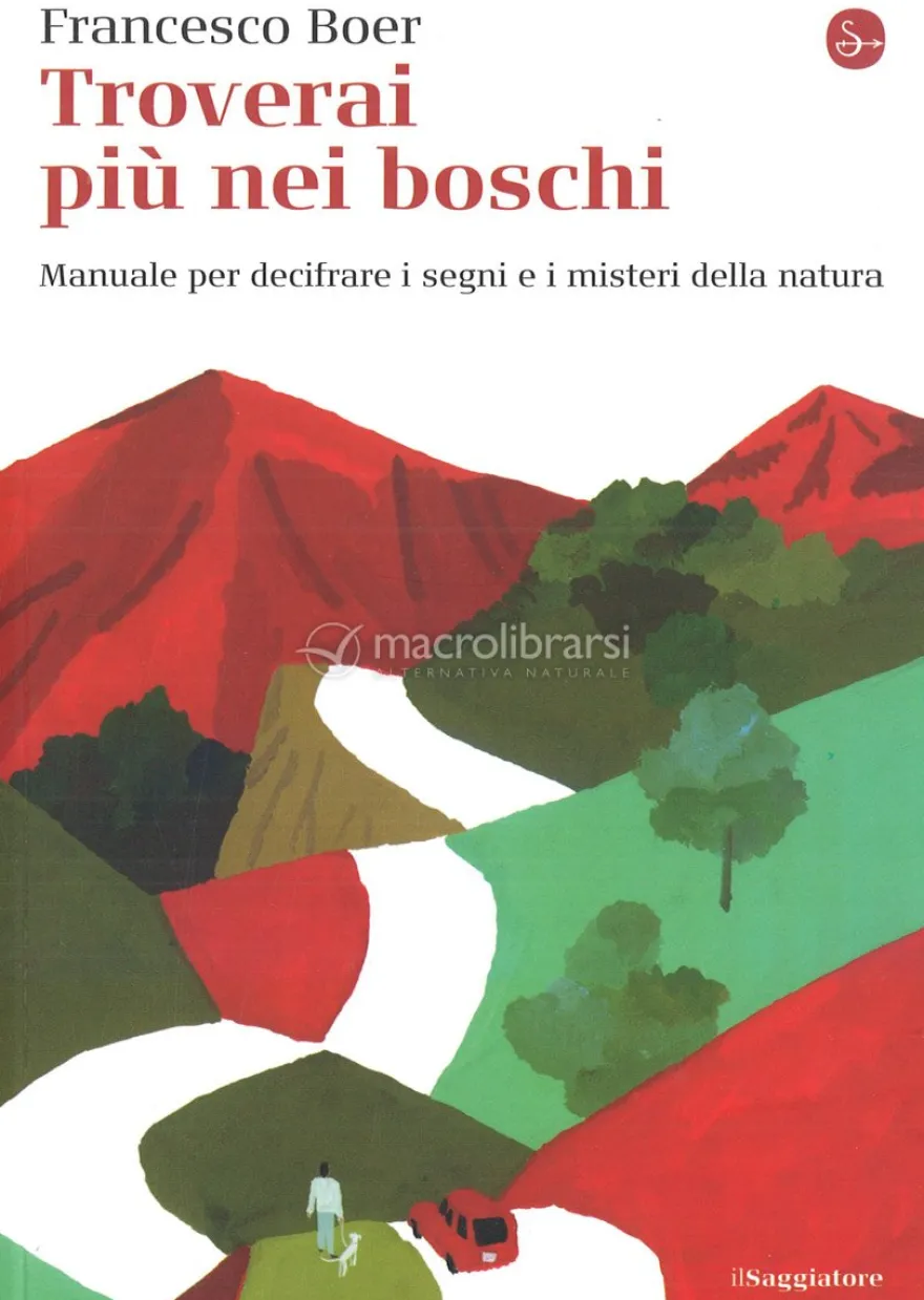 Troverai più nei Boschi