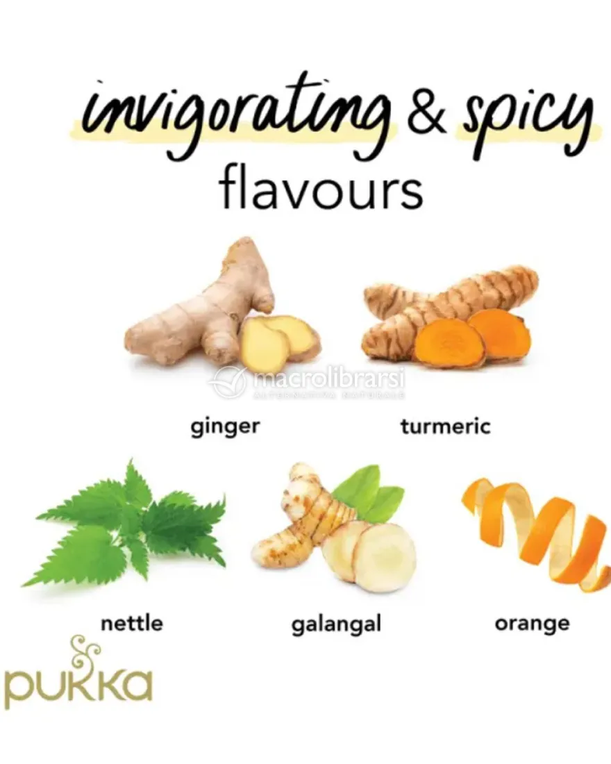 Turmeric Active - Tisana Pukka Bio