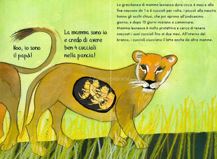 Tutte le Pance del Mondo