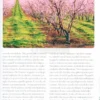 Tutto per il Giardino