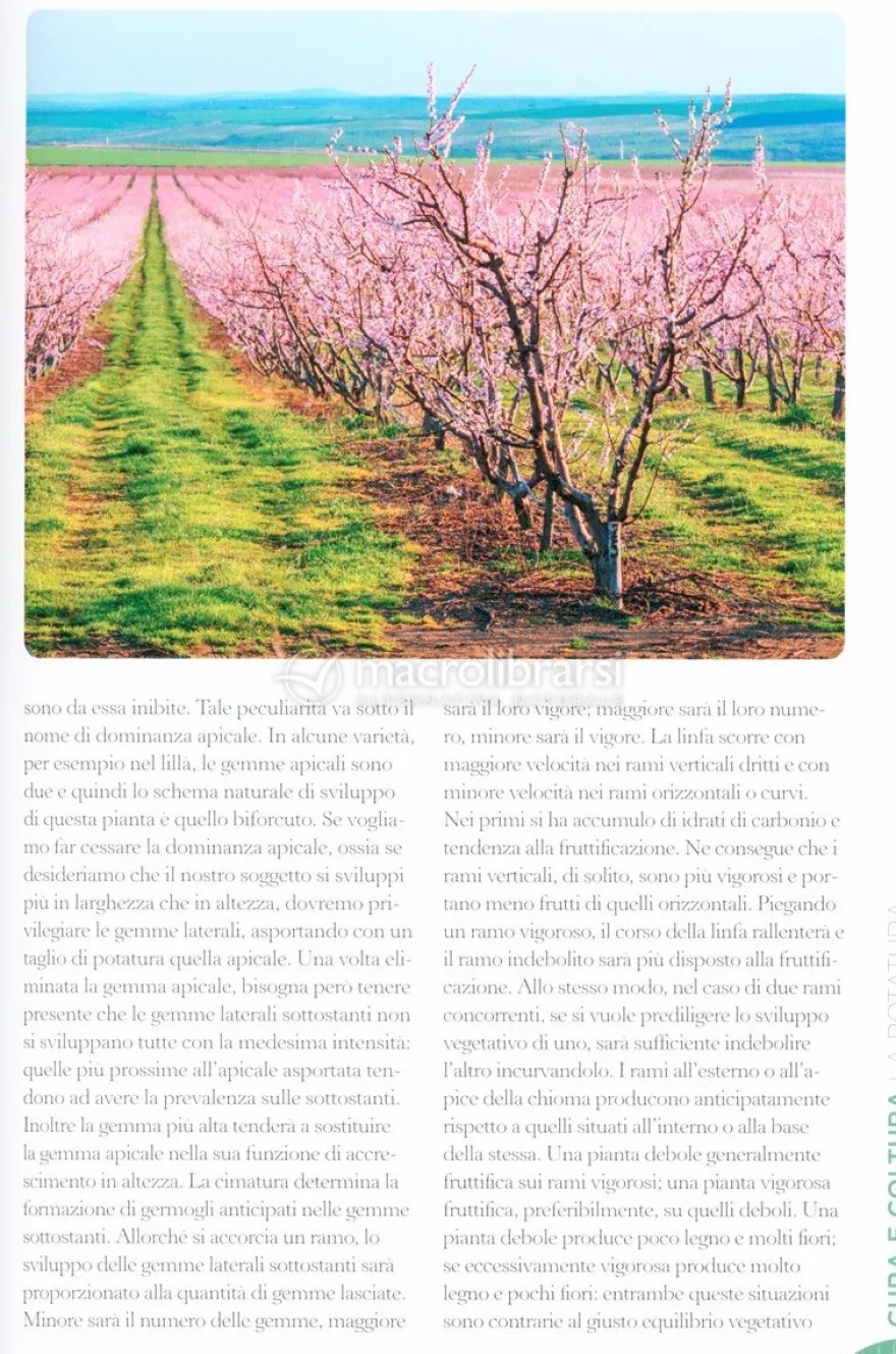 Tutto per il Giardino