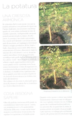 Tutto per il Giardino