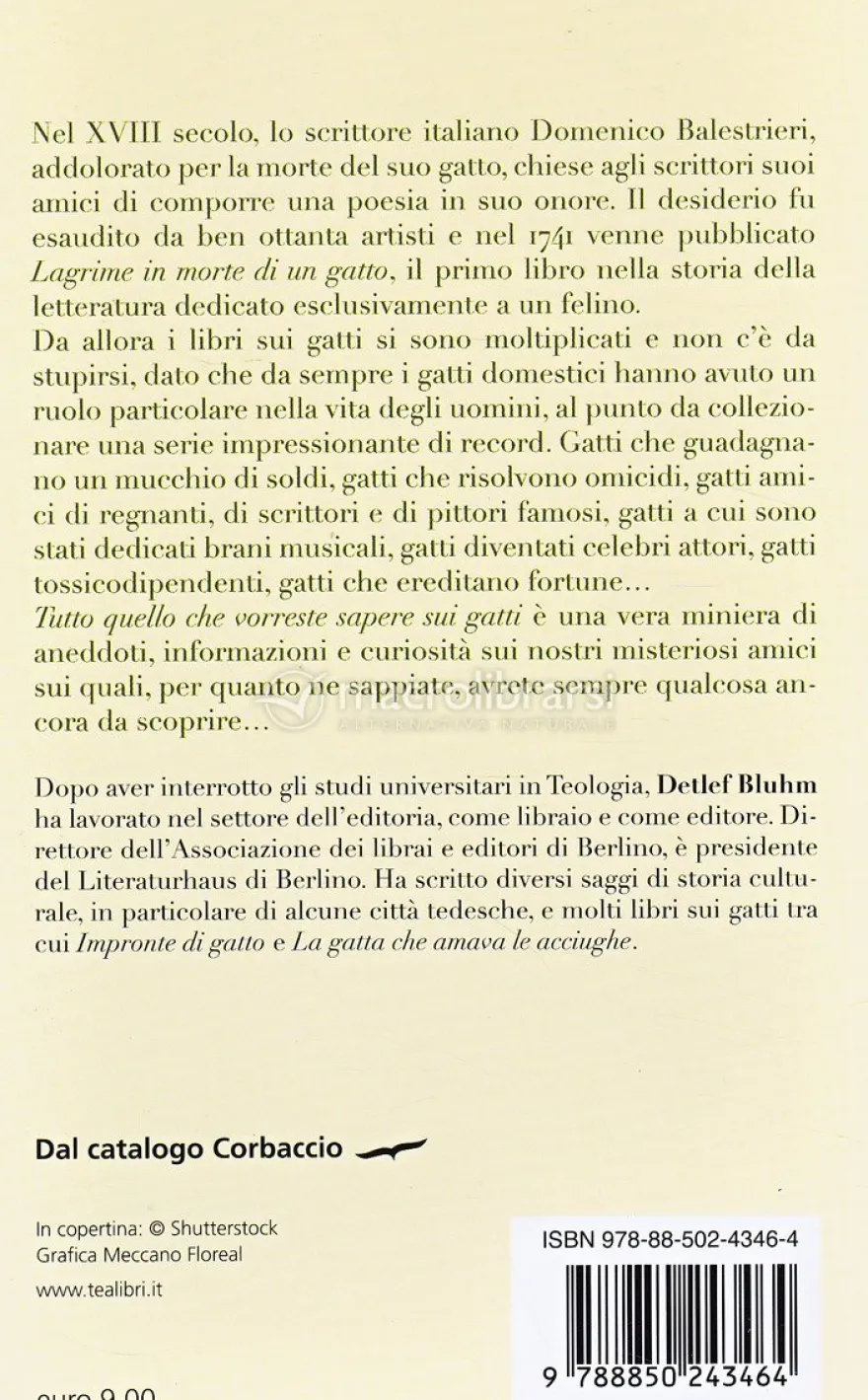 Tutto Quello che Vorreste Sapere sui Gatti
