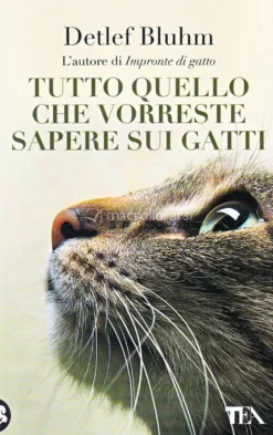 Tutto Quello che Vorreste Sapere sui Gatti