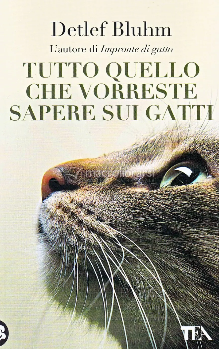 Tutto Quello che Vorreste Sapere sui Gatti
