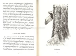 Un Albero