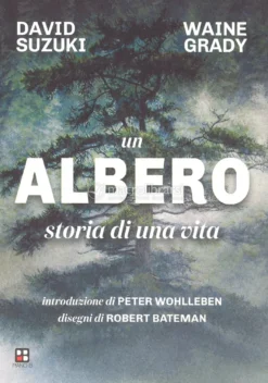 Un Albero