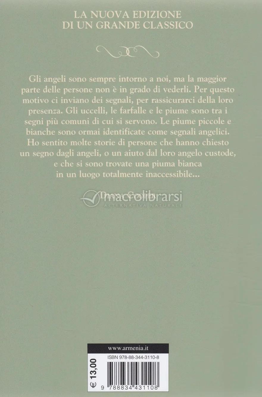 Un Angelo con Me