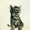Una Tigre in Casa
