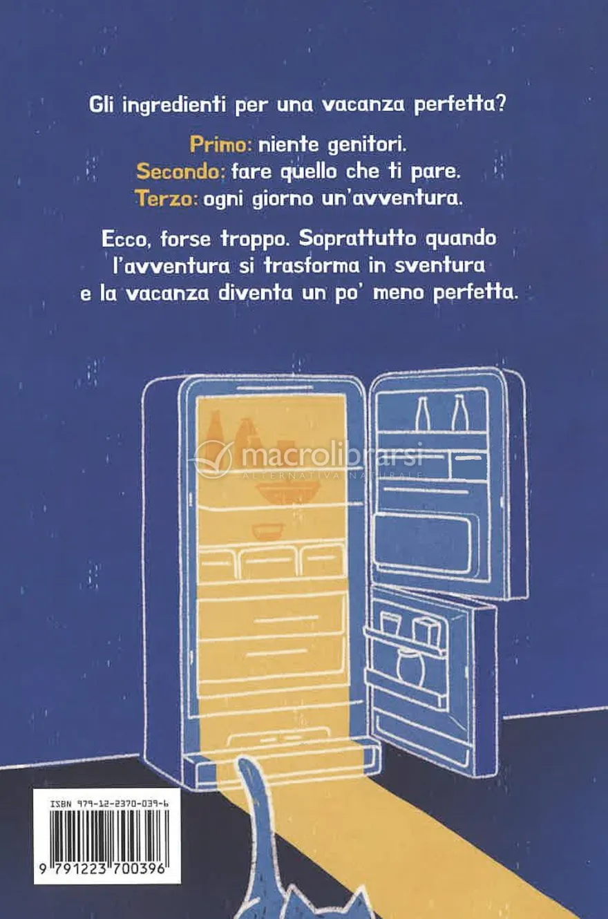 Una Vacanza Quasi Perfetta