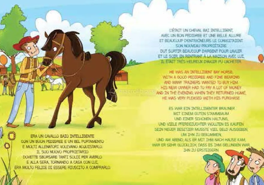Un Cavallo chiamato Paradiso