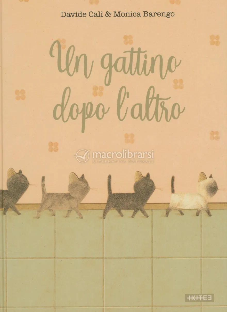 Un Gattino Dopo l'Altro