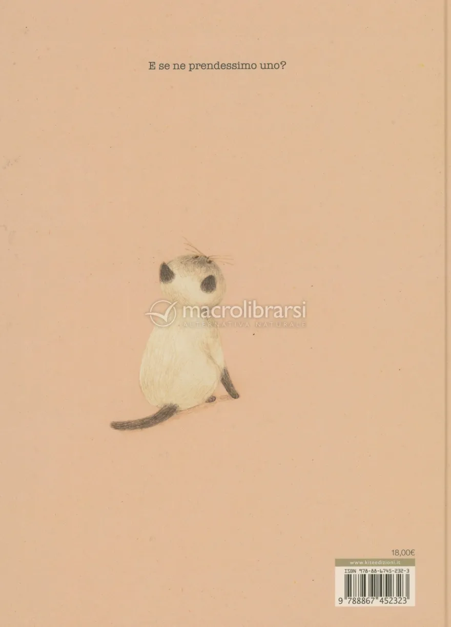 Un Gattino Dopo l'Altro