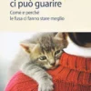 Un Miao ci può Guarire