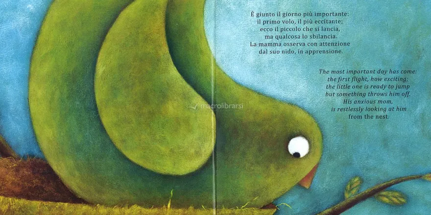 Uno Strano Nido - A Strange Nest