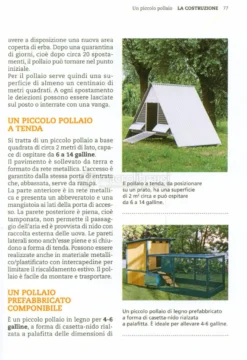 Un Piccolo Pollaio