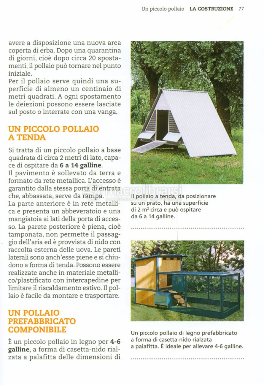 Un Piccolo Pollaio
