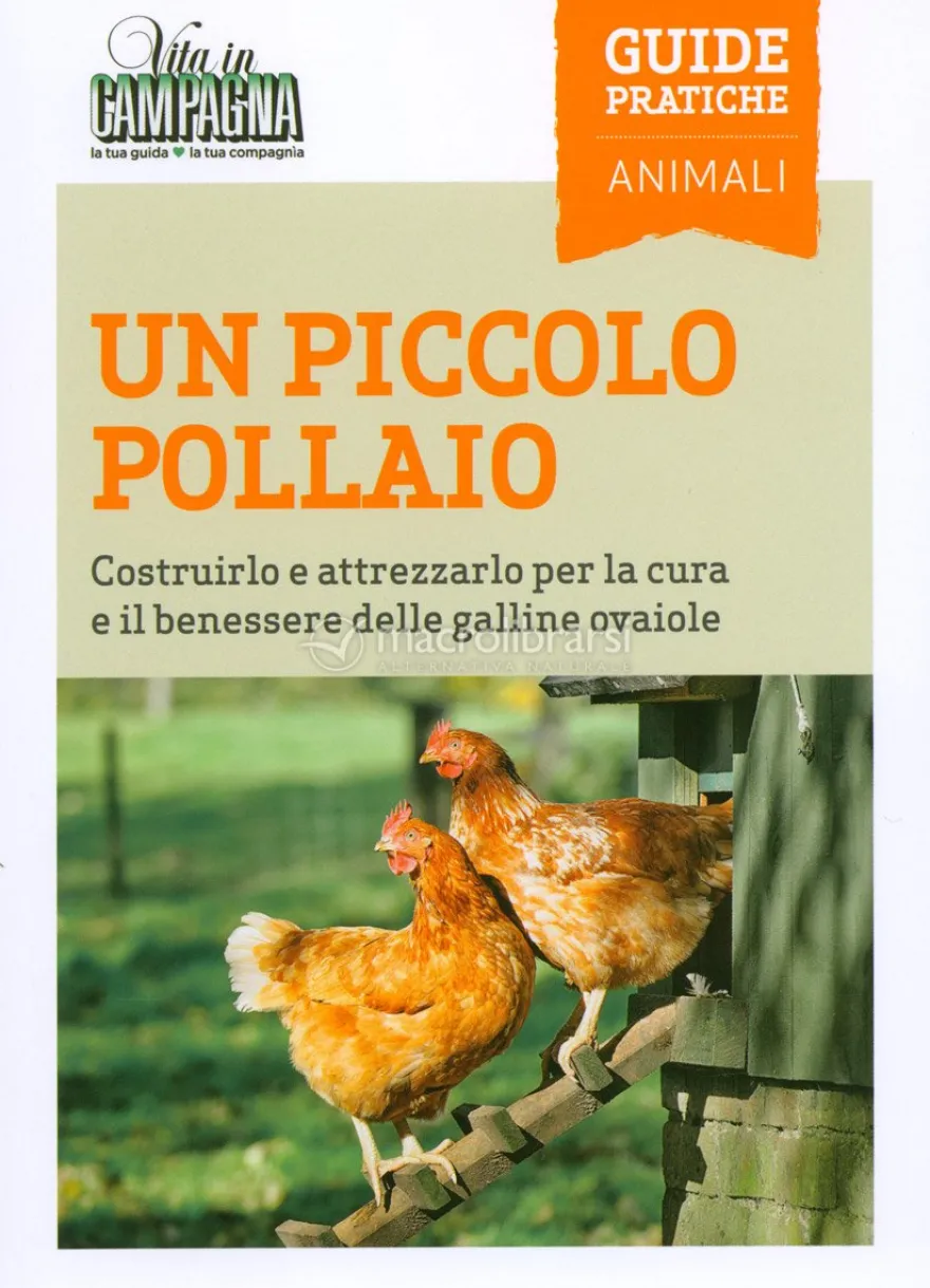 Un Piccolo Pollaio