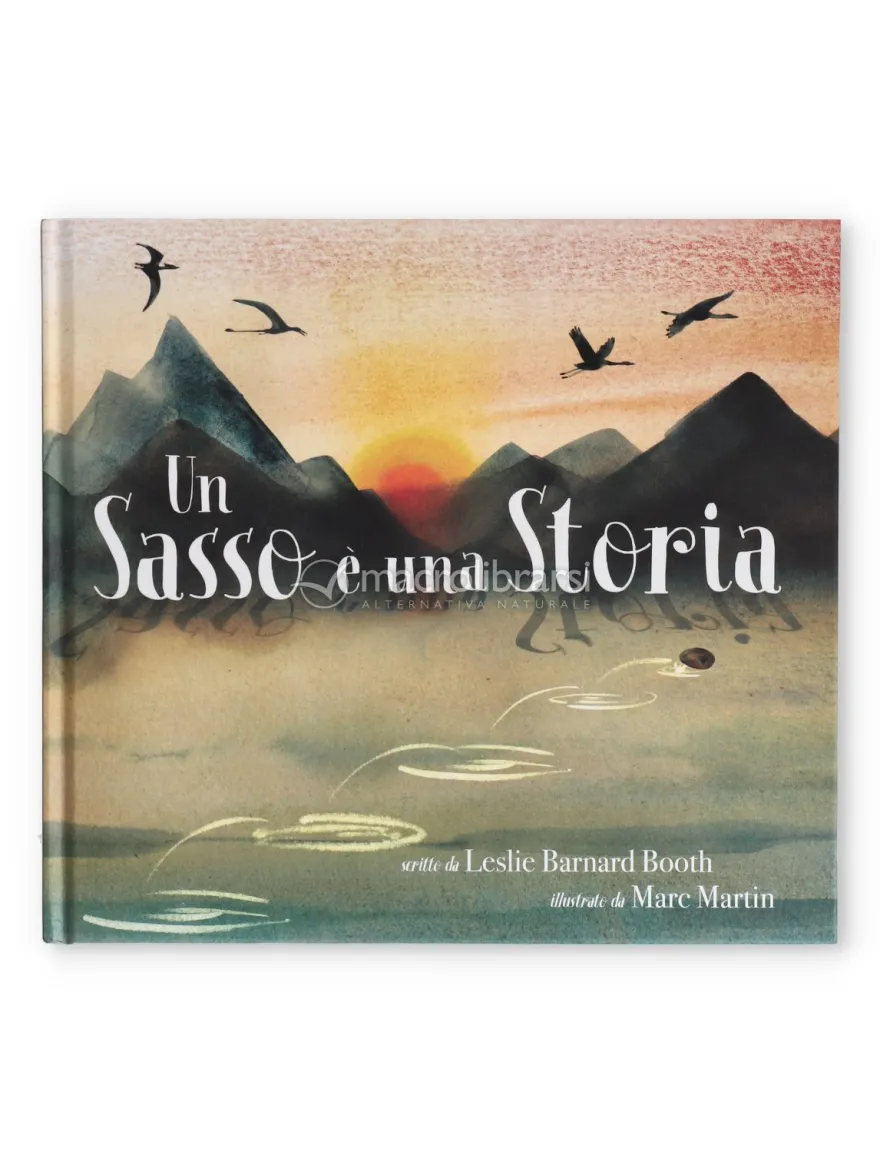 Un Sasso È una Storia