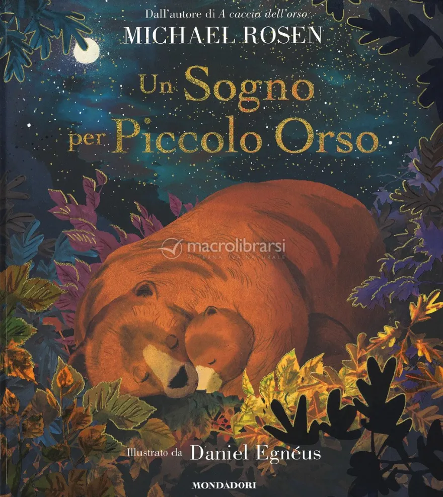 Un Sogno per Piccolo Orso