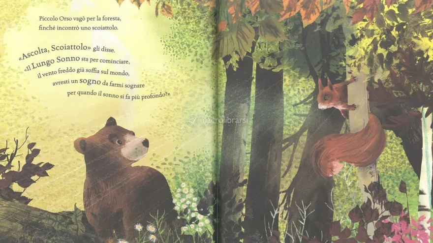 Un Sogno per Piccolo Orso