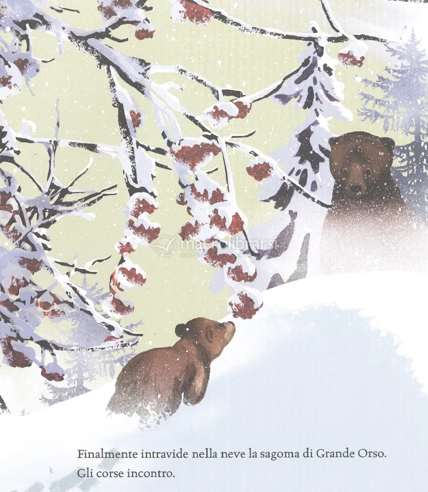Un Sogno per Piccolo Orso
