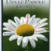 Usa le Parole Giuste