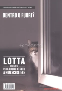 Vanity Cat