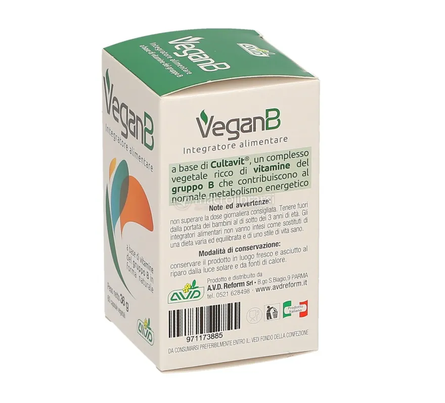 Vegan B