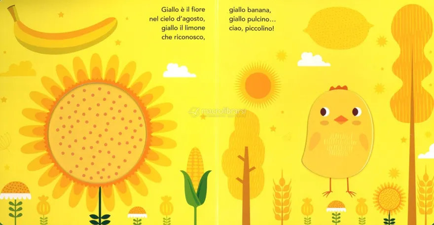 Verde Rana Giallo Banana