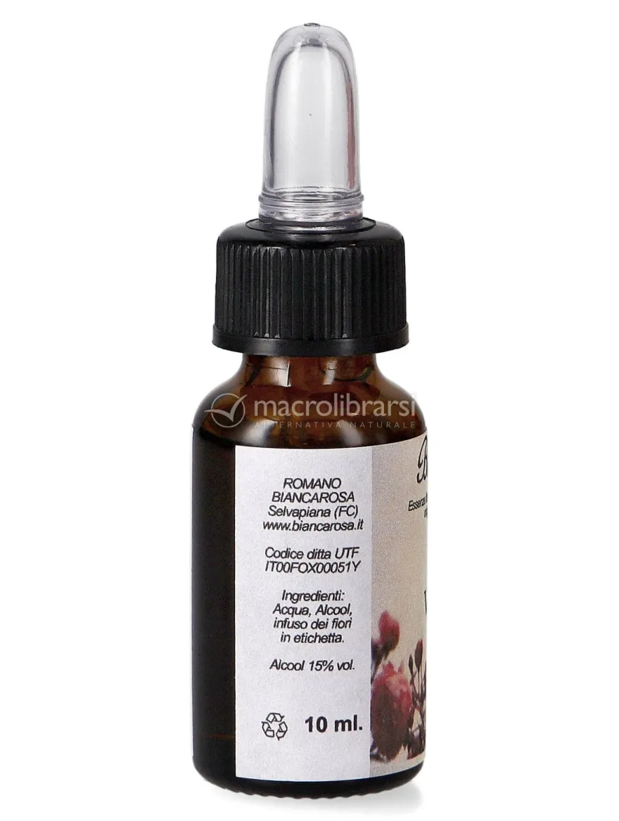 Vervain - Fiori di Bach