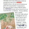 Viaggio nel Tempo