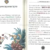 Viaggio nel Tempo 12 - Missione Pirati