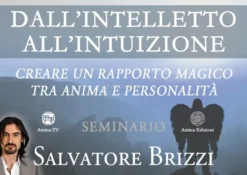 Video Download - Dall'Intelletto all'Intuizione
