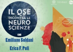Video Download - Il Qse Incontra le Neuroscienze