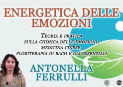 Video Streaming - Energetica delle Emozioni