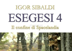 Video Streaming - Esegesi 4 - On Demand