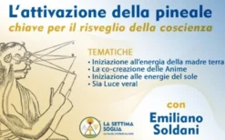 Video Streaming - L'Attivazione della Pineale - On Demand