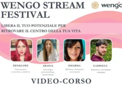 Video Streaming - Wengo Stream Festival