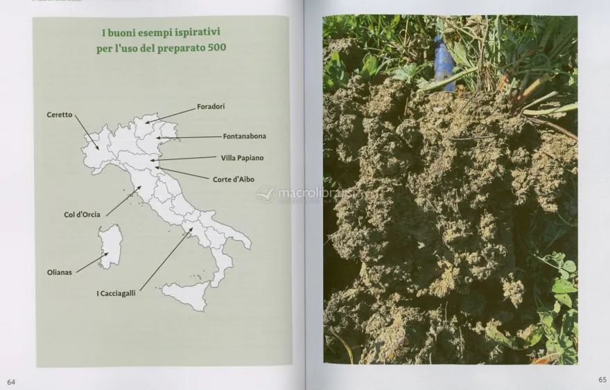 Viticoltura Biodinamica