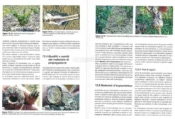 Viticoltura Biologica