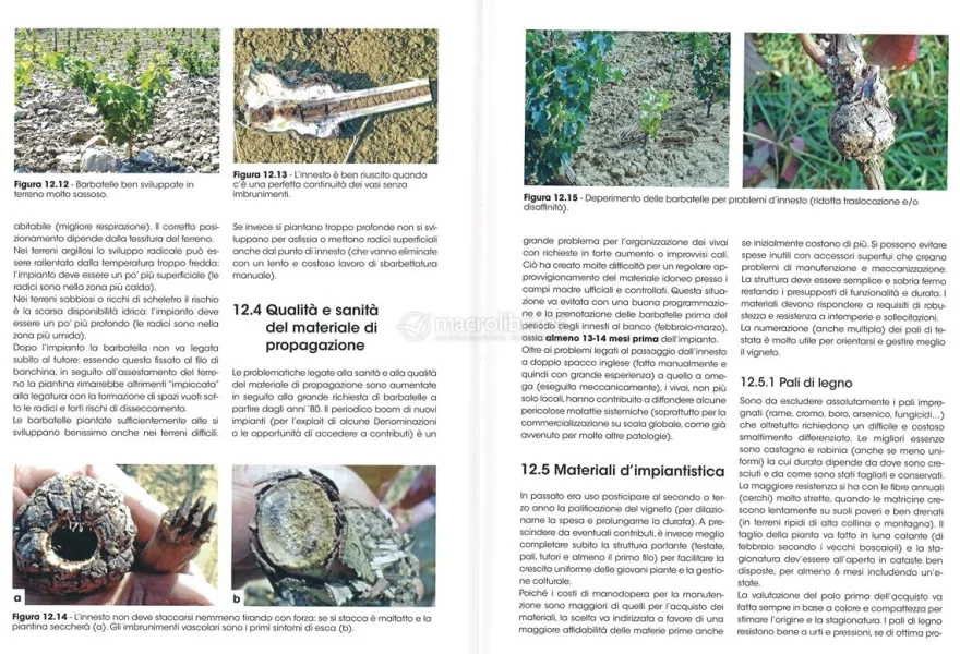 Viticoltura Biologica